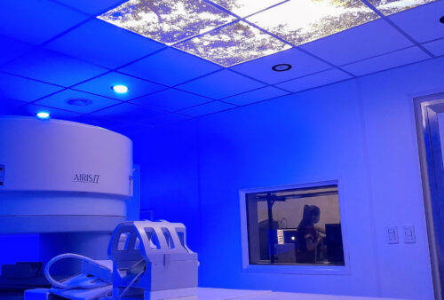 Sin título-1_0009_Objeto inteligente vectorial